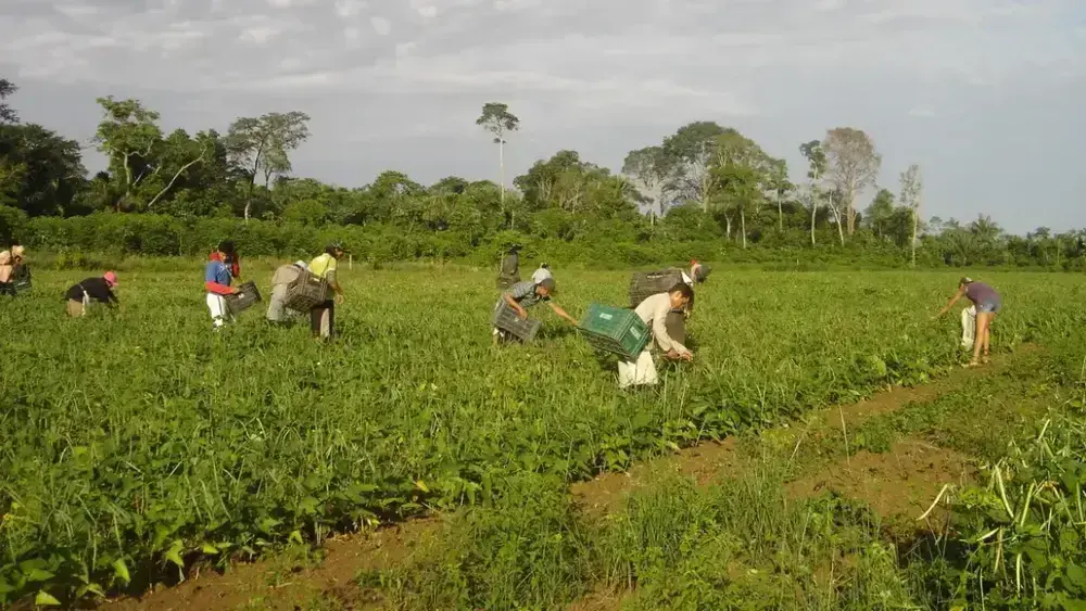 Agricultura familiar no DF: R$ 1 bilhão e orgulho no campo